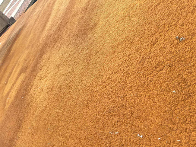 合肥聚氨酯喷涂