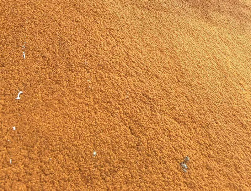 安徽聚氨酯喷涂优势，防水保温一体化